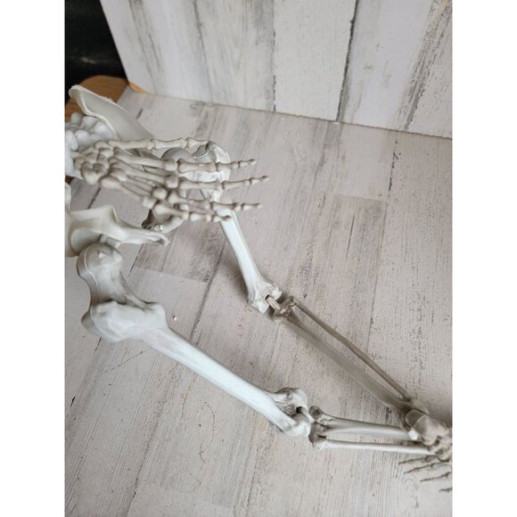 Halloween hanging skeleton prop home decor bone rib cage - Picture 11 of 12